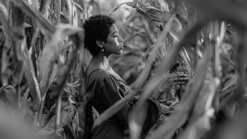 Artistic black and white portrait of a woman among dried corntalks, side light illuminating her profile in contemplation