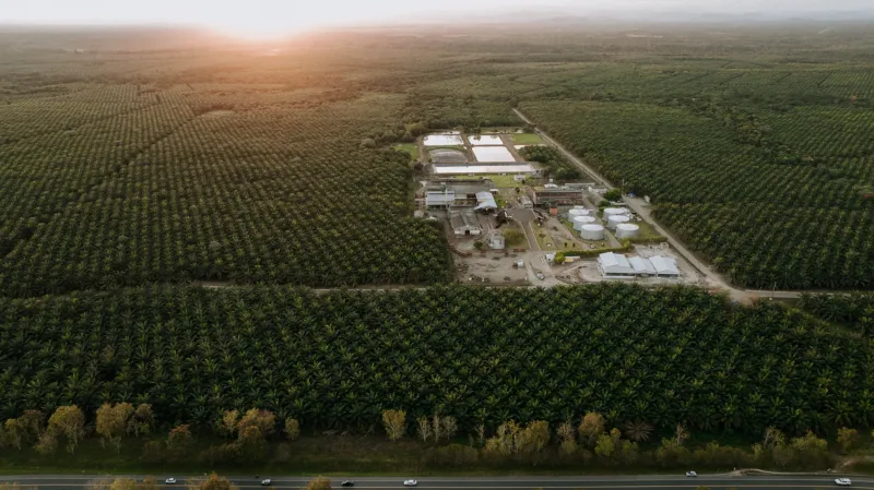 Drone aerial photography of industrial complex surrounded by green fields under golden sunset light in Dominican Republic