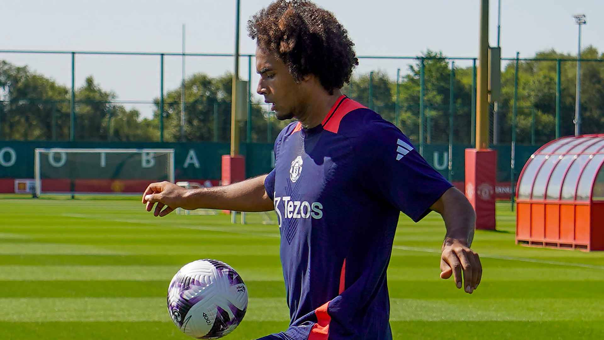 Joshua Zirkzee berlatih di Carrington, ekspresi serius, siap rebut menit bermain