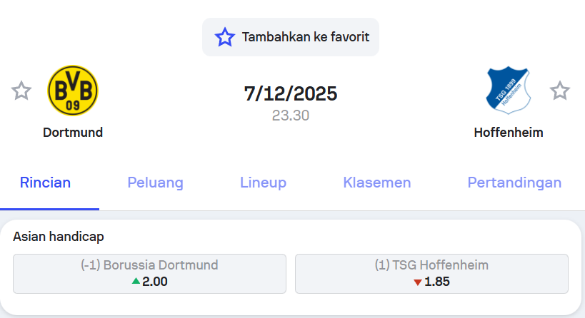 Borussia Dortmund vs Hoffenheim 2025