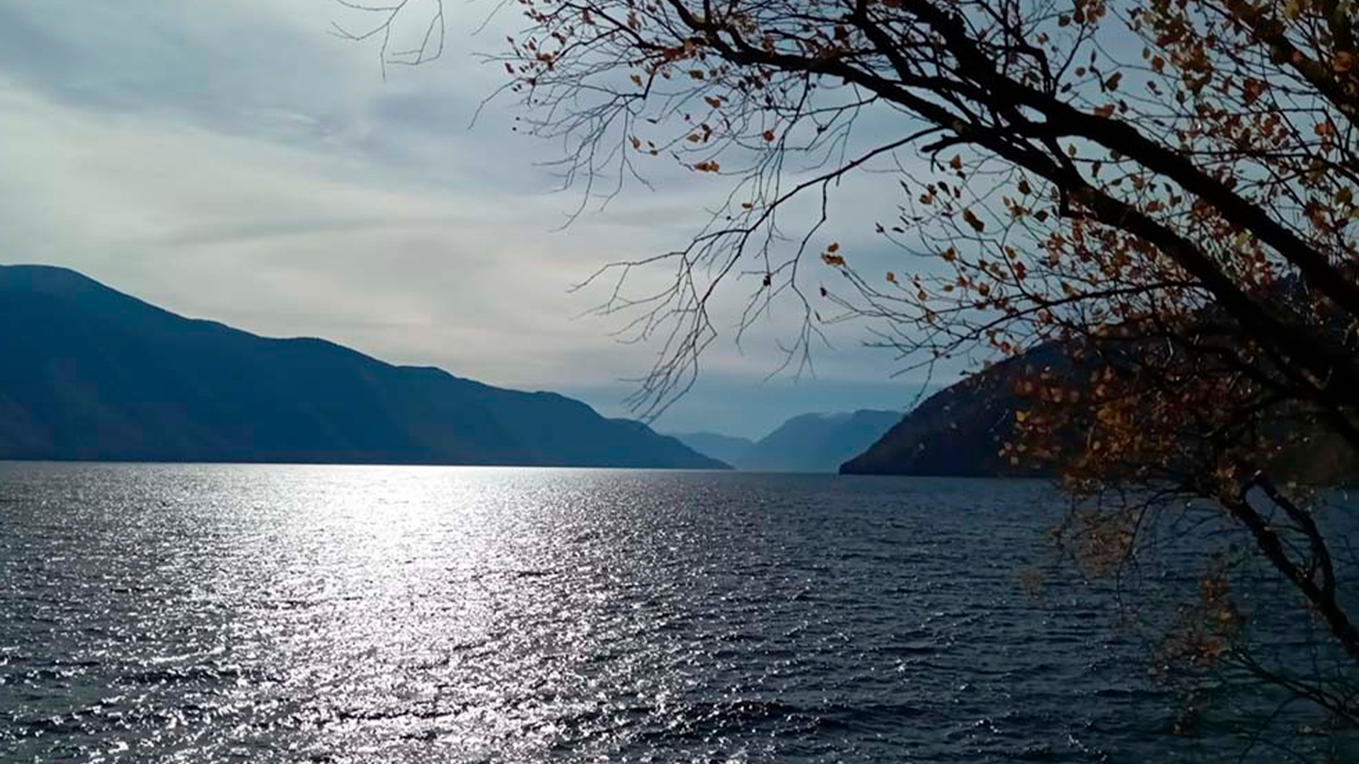 Территория