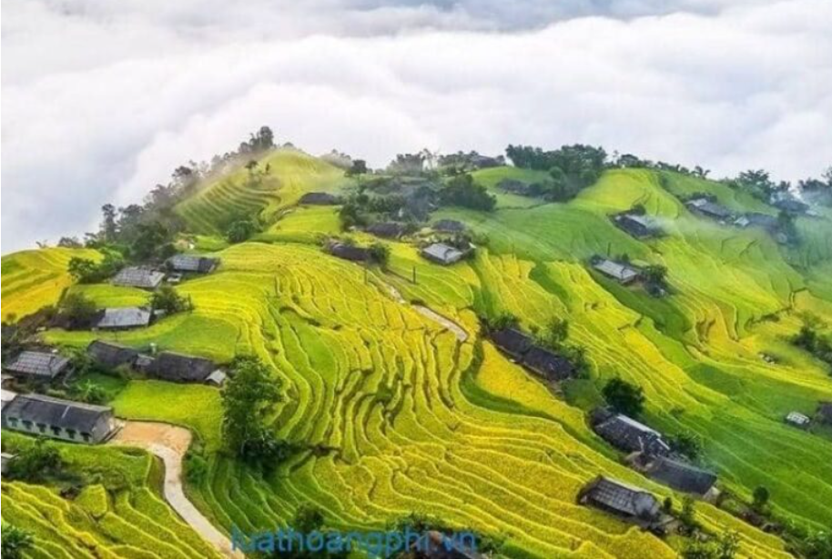 Vùng có mật độ dân số cao nhất nước ta là