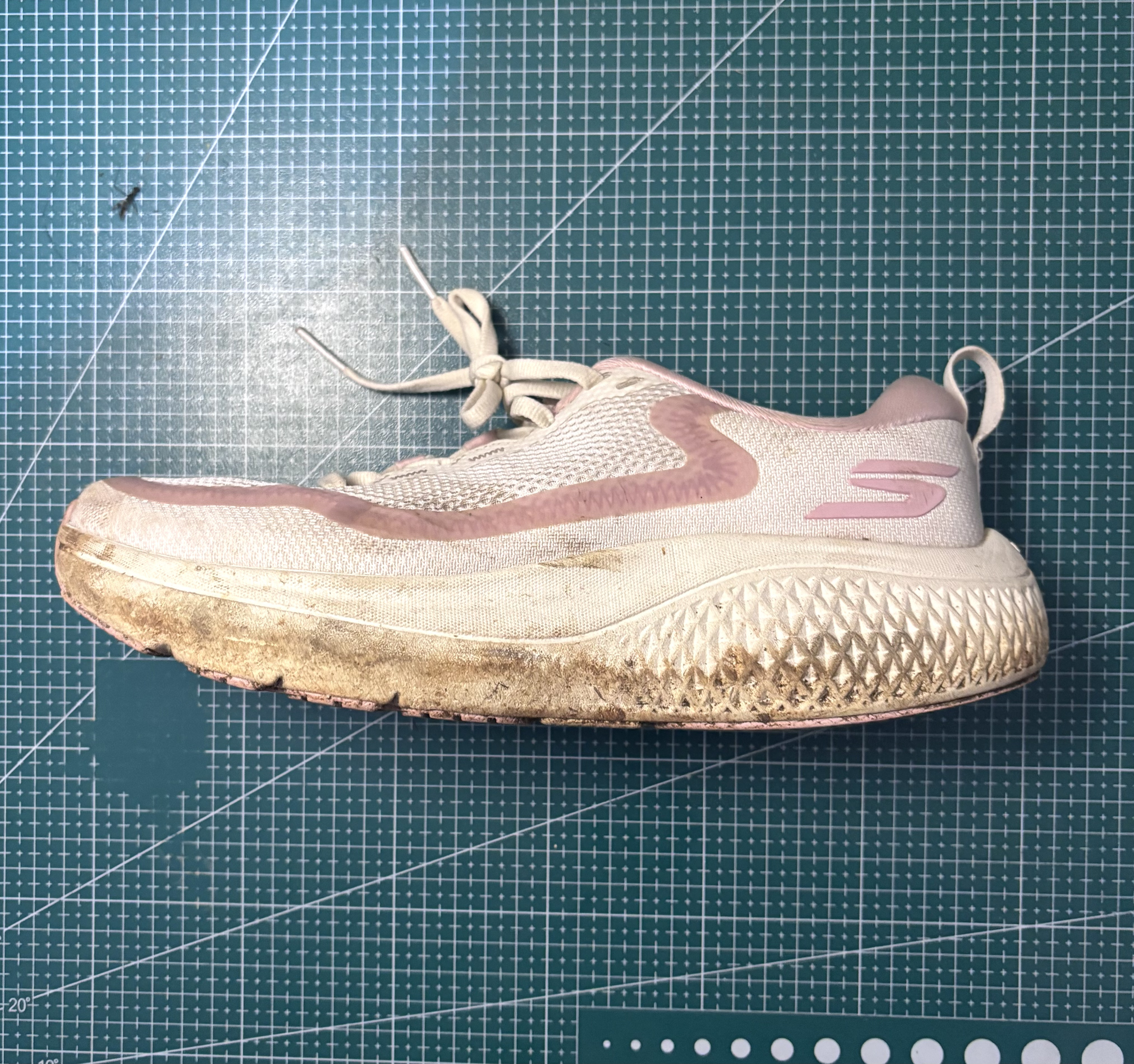 Dirty Shoe