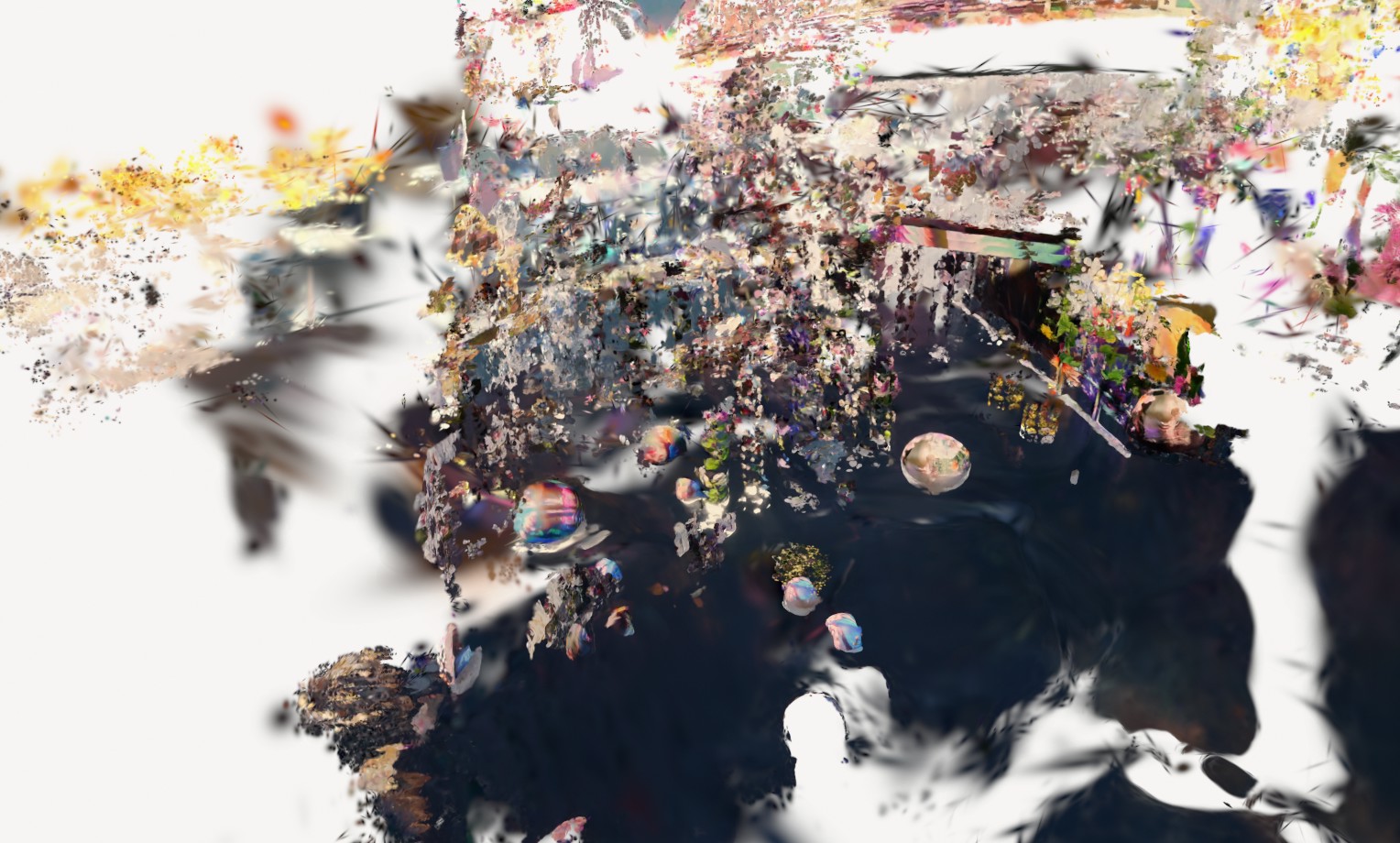 Placeholder 5