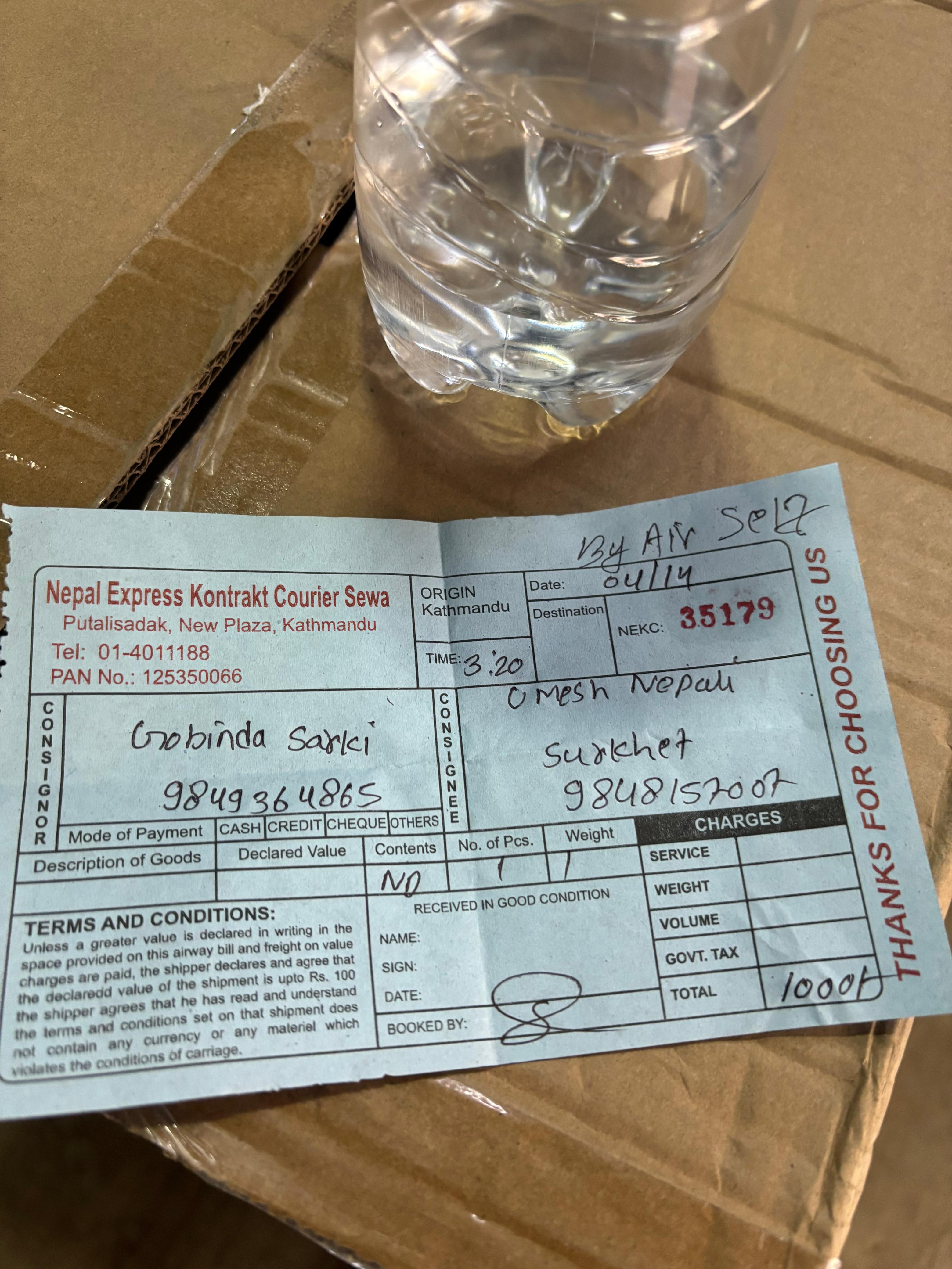 Pixie Arriving Tomorrow - 1