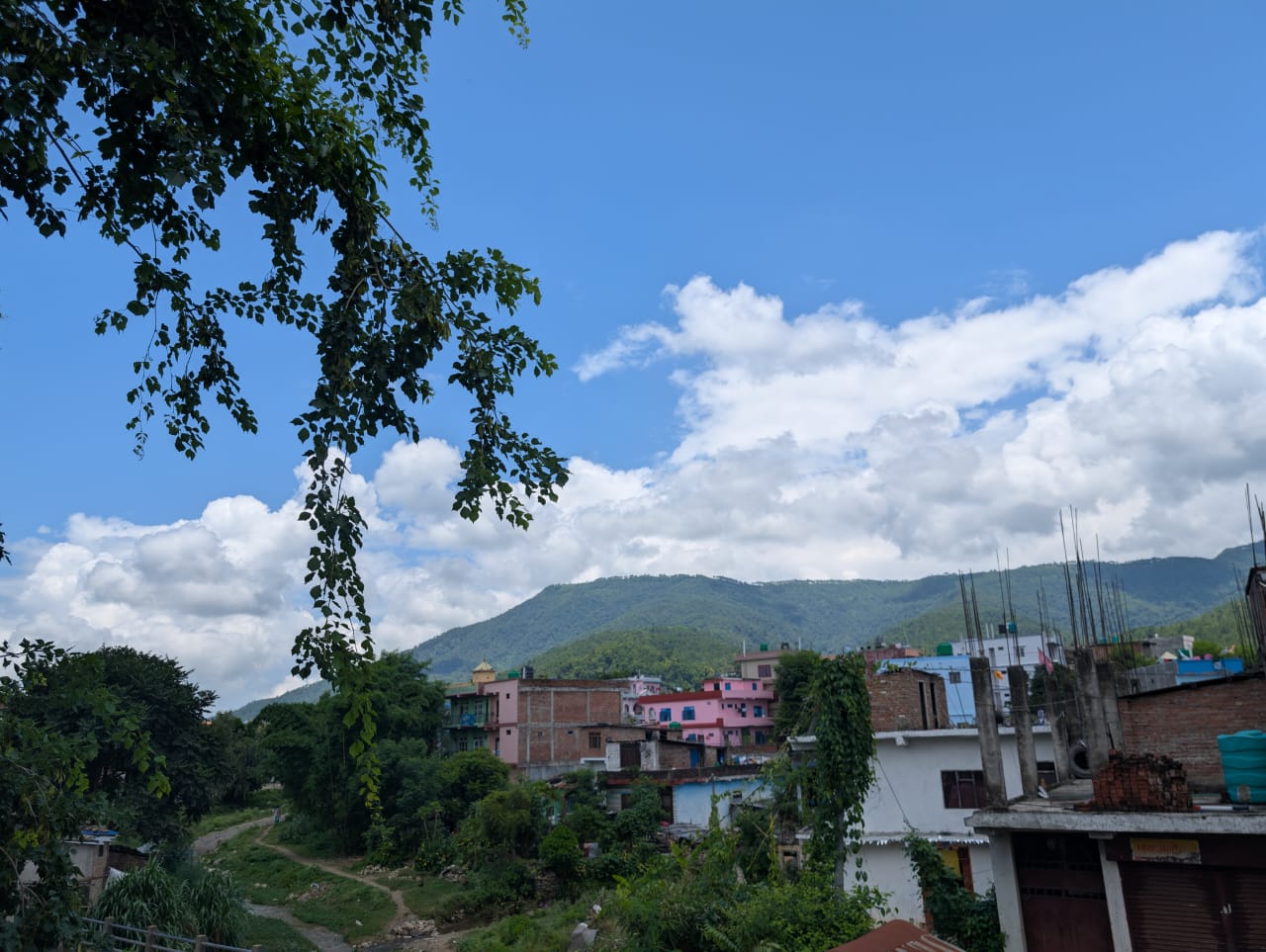 Finally Got My Pixie - 3