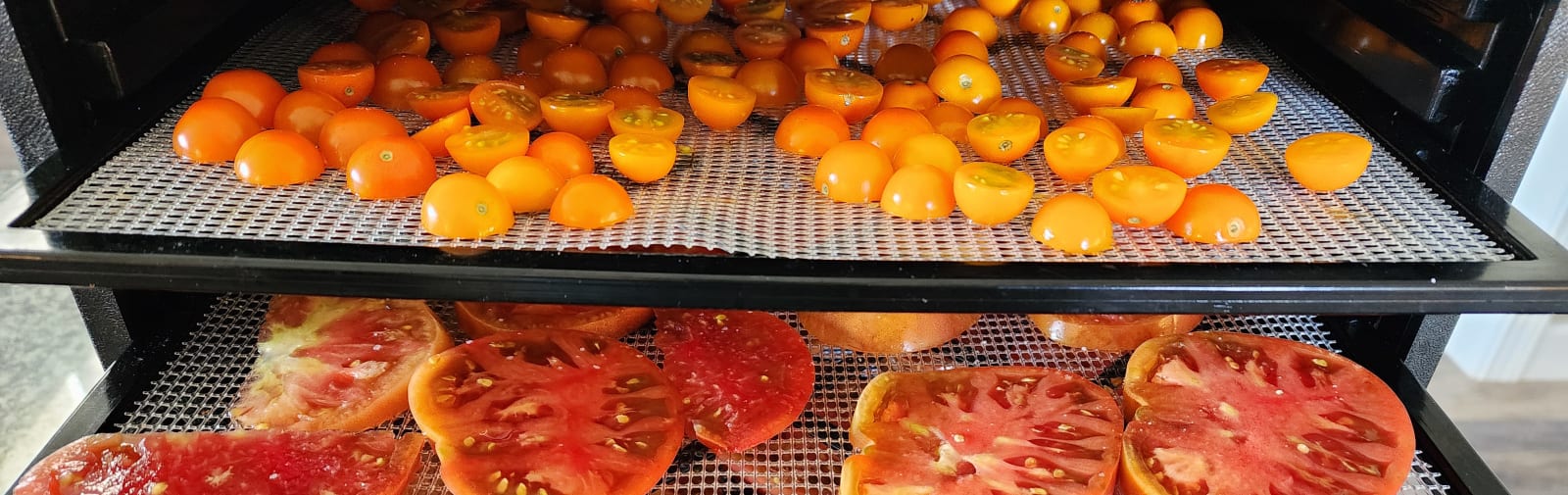- Cherry and slicing tomatoes on dehydrator trays.