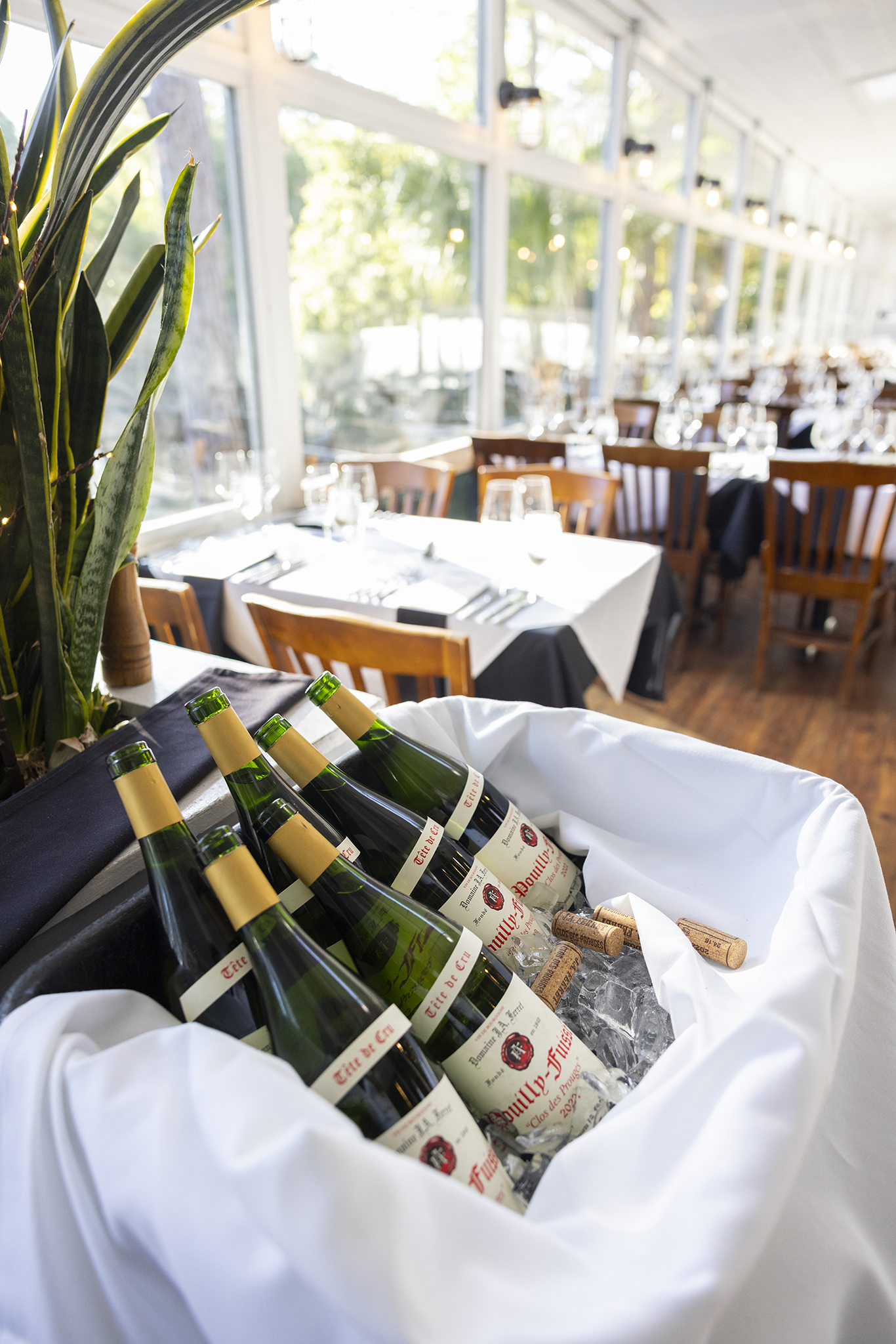 Alexanders wine dinner SEP26 AB3 A9954 low res