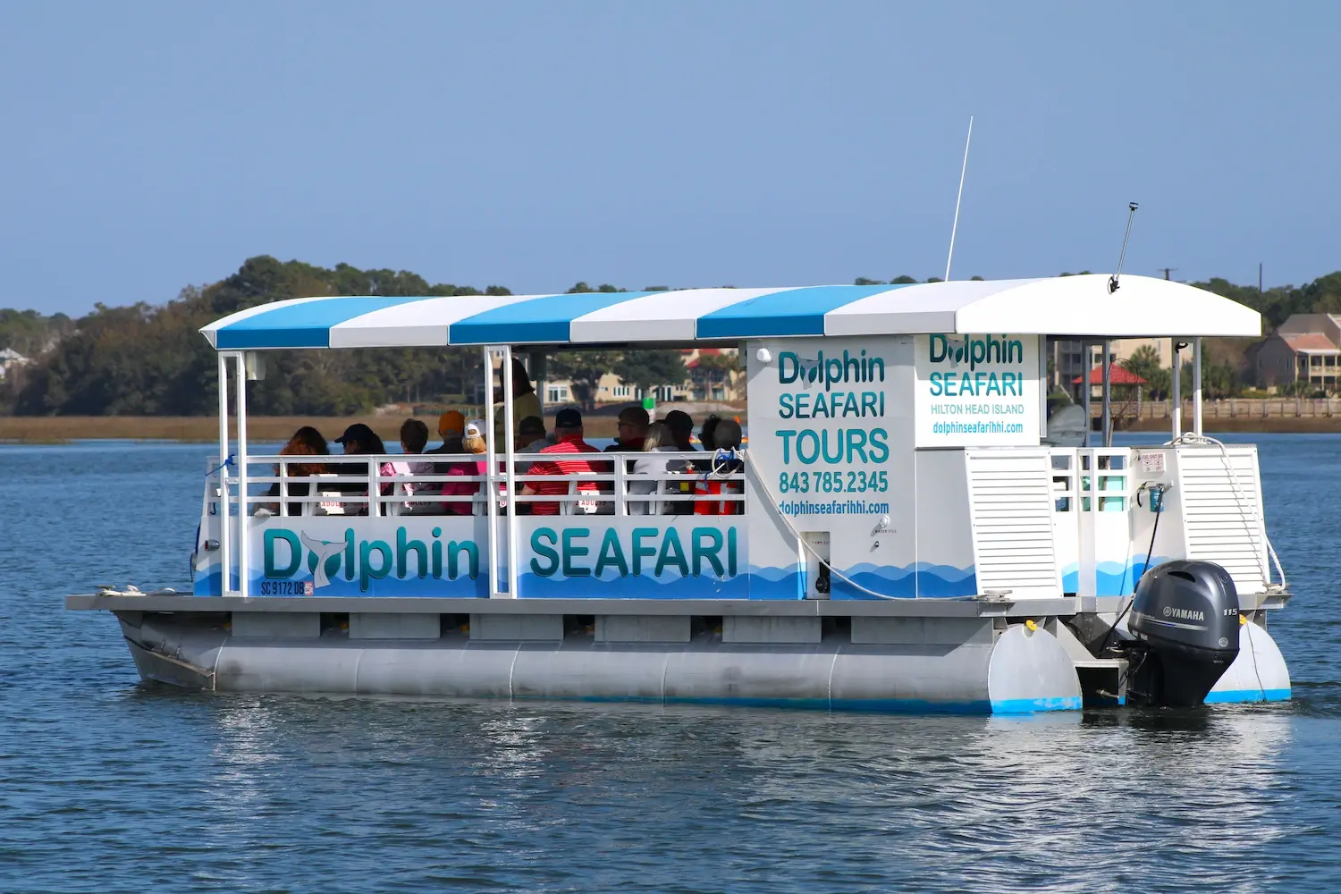 Dolphin Seafari 1 1