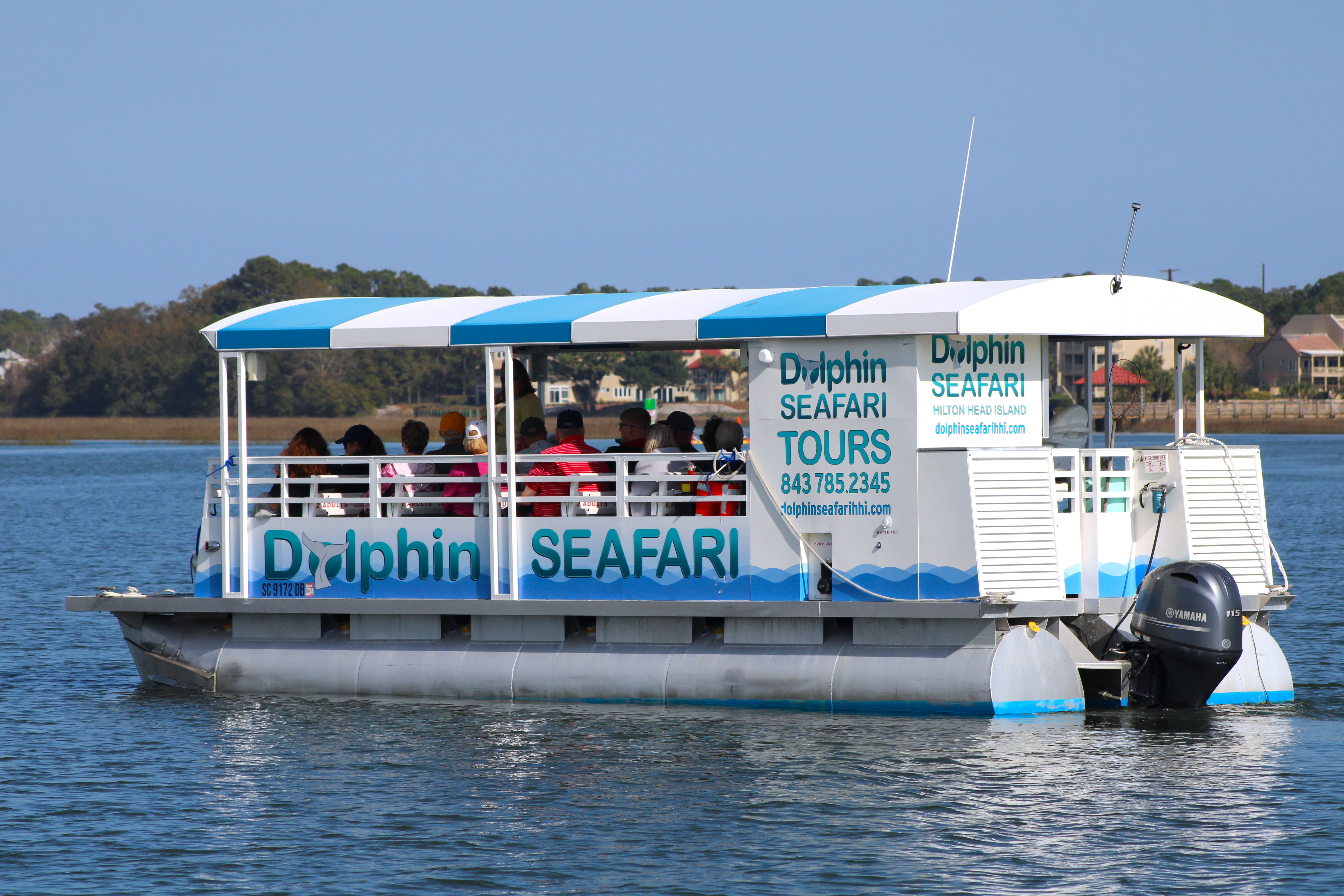 Dolphin Seafari 1