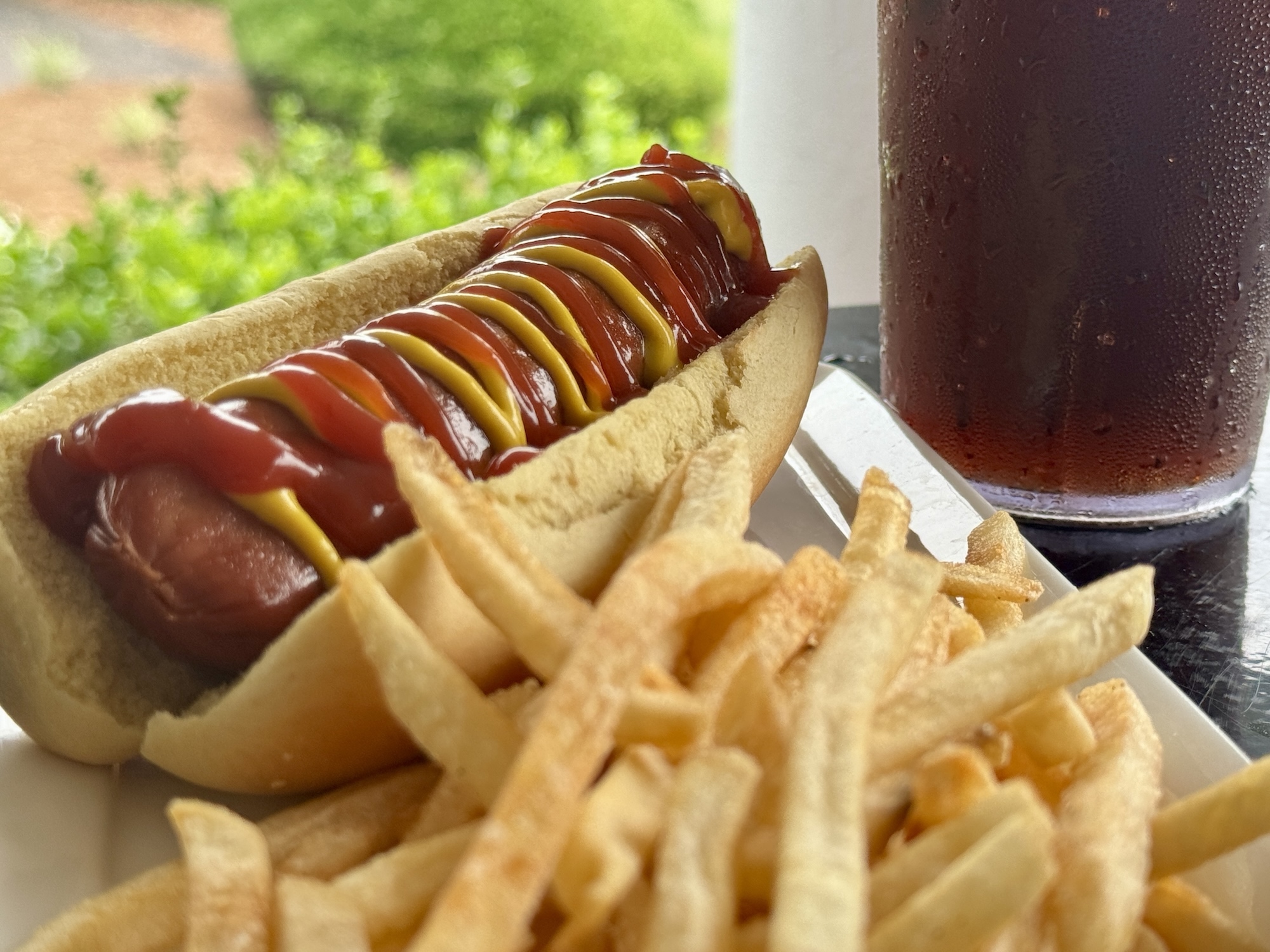 Hills Grill Hot Dog and Fries
