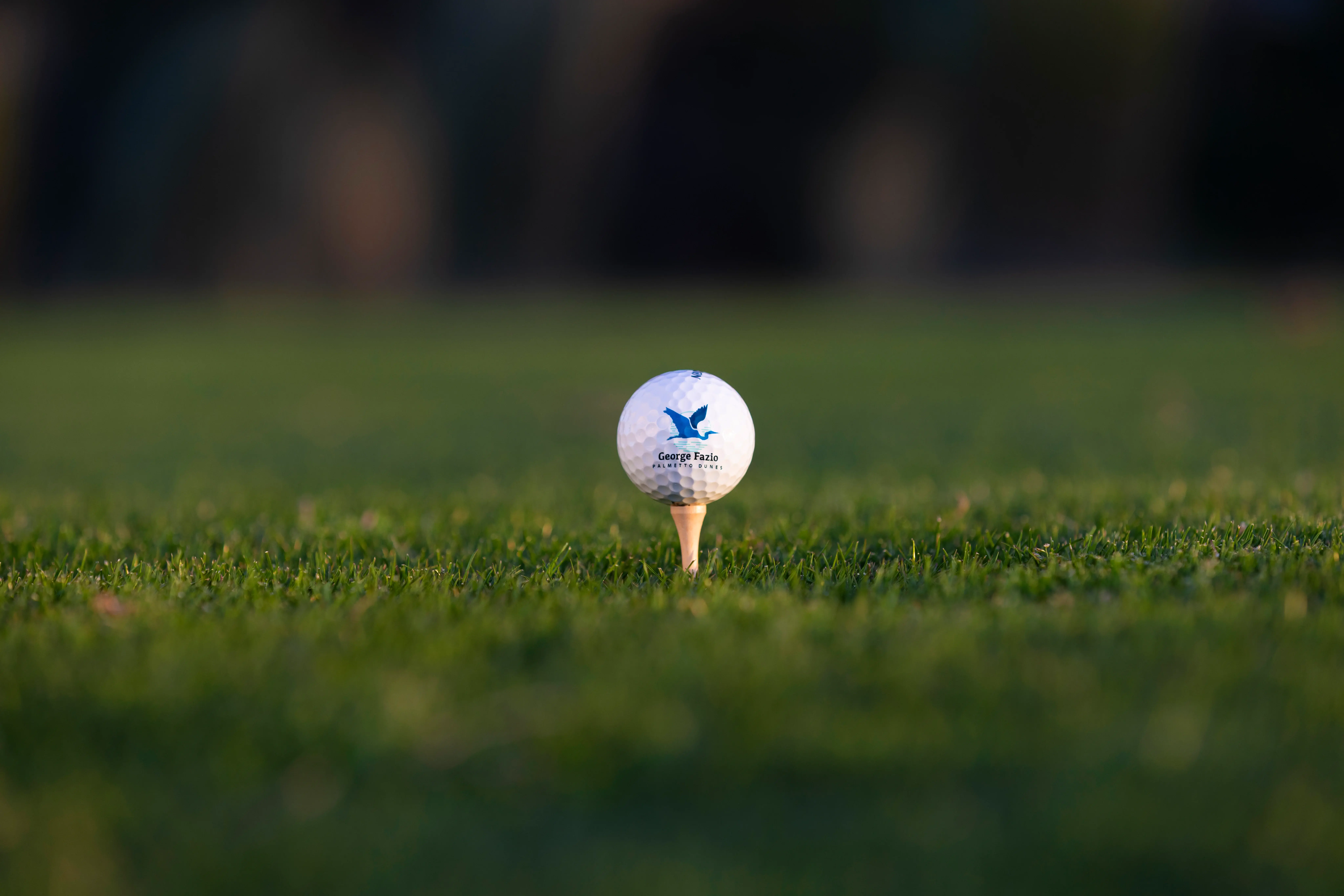 PD golf imagery MAR26 fazio golf ball