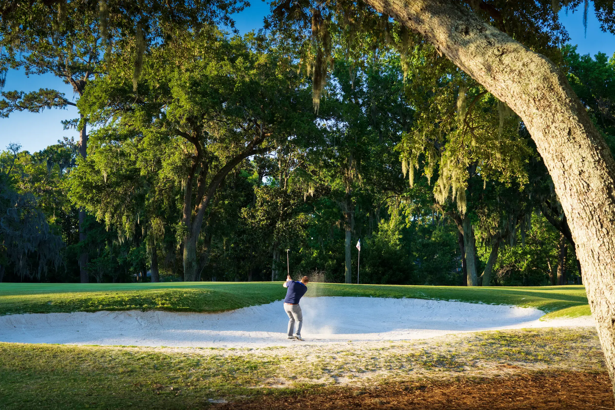 PD fazio hole15 4