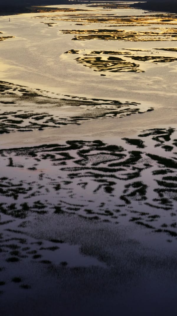 View marsh at sunset from above