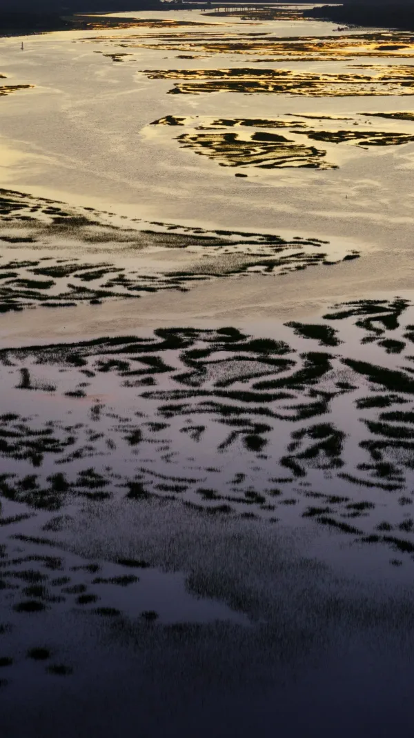 View marsh at sunset from above
