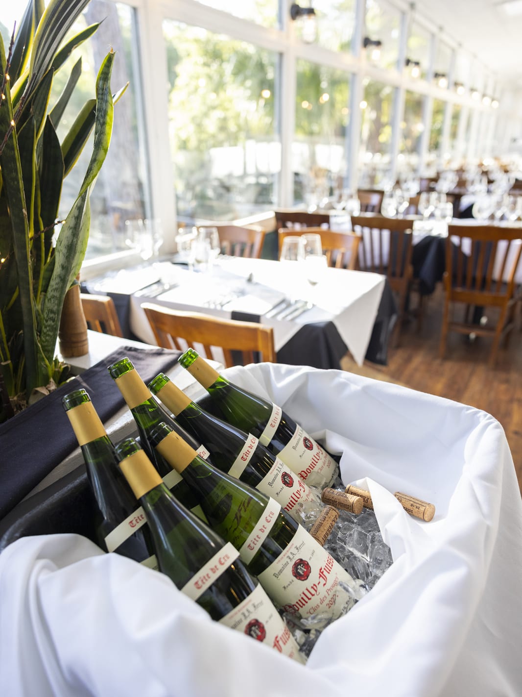 Alexanders wine dinner SEP26 AB3 A9954 low res
