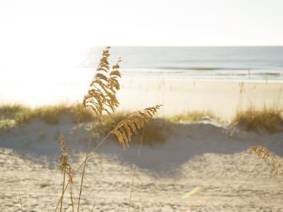 Beach 7