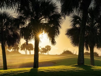 Robert Trent Jones 6