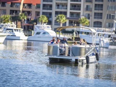 Shelter Cove Marina 1
