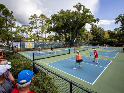 Tennis Pickleball 9
