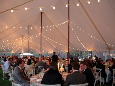 Weddings 7