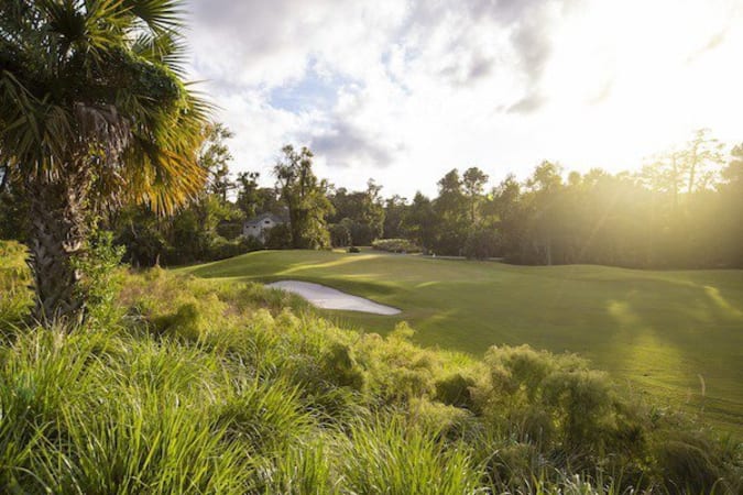 Golfcourse2 2