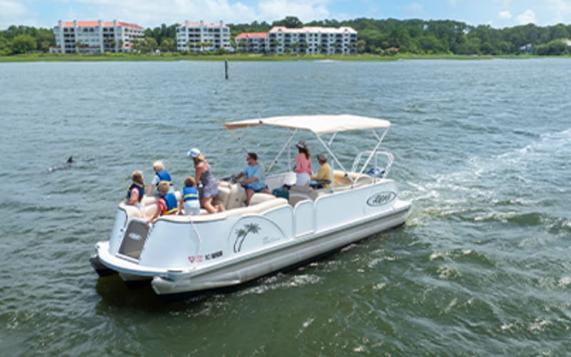 pontoon boat with view of dolphin in the water