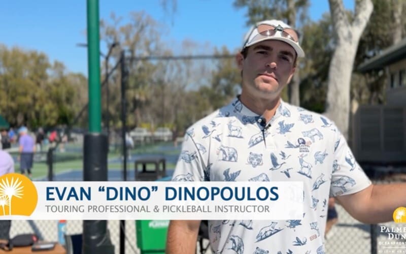 Dino