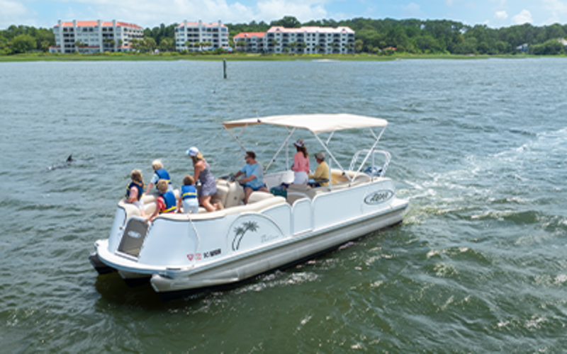 pontoon boat with view of dolphin in the water
