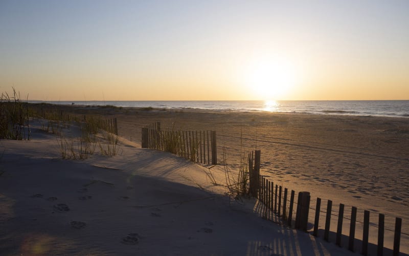 Beach sunrise