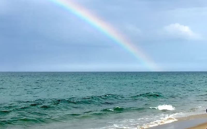 Beach proposal with a rainbow