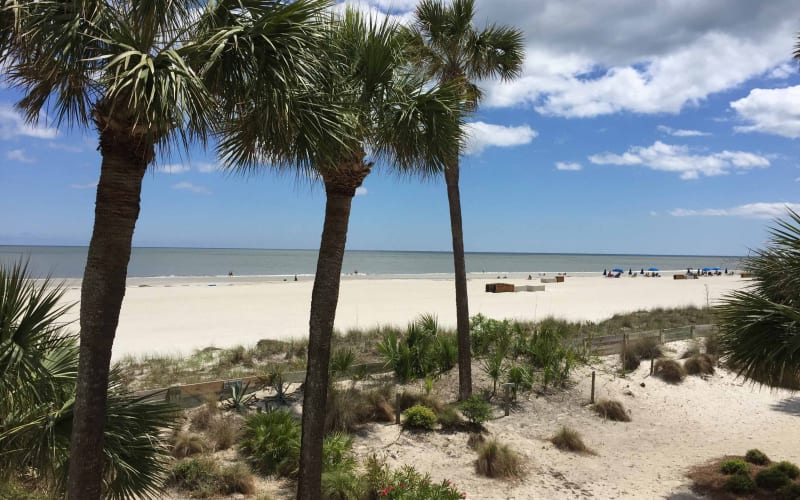 Beachview karen