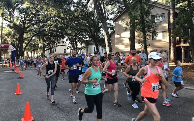 Pdblog active turtletrot