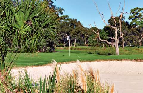 Fazio Hole 11 b CMYK 1722971113