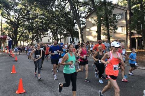 Pdblog active turtletrot