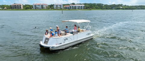 pontoon boat with view of dolphin in the water