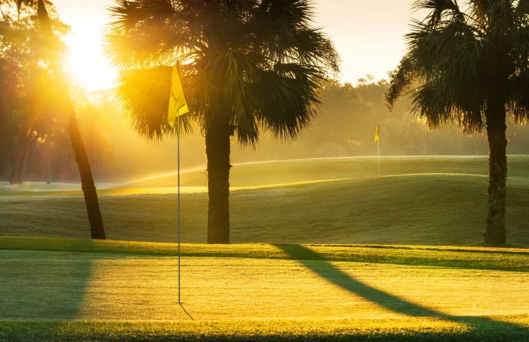 sun shining between palm trees casting light onto golf course greens with a yellow flag