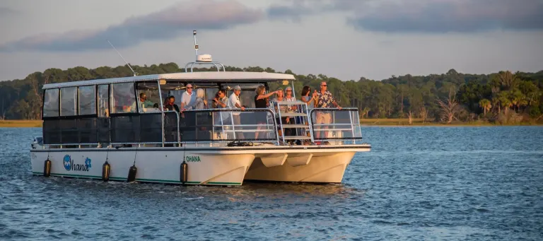 Cruises boat tours hero bg