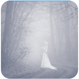 Blue Lady of PD