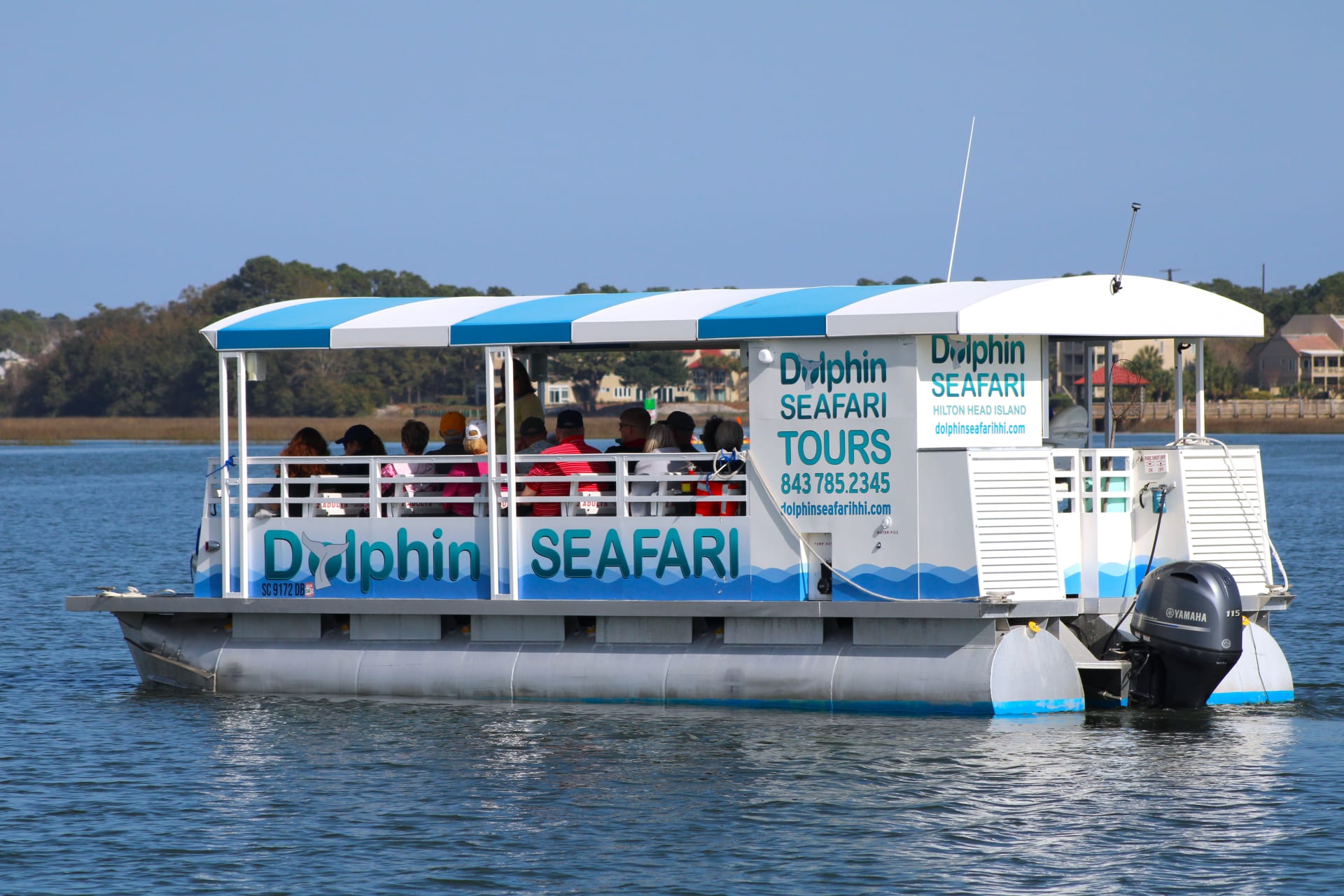 Dolphin Seafari 1