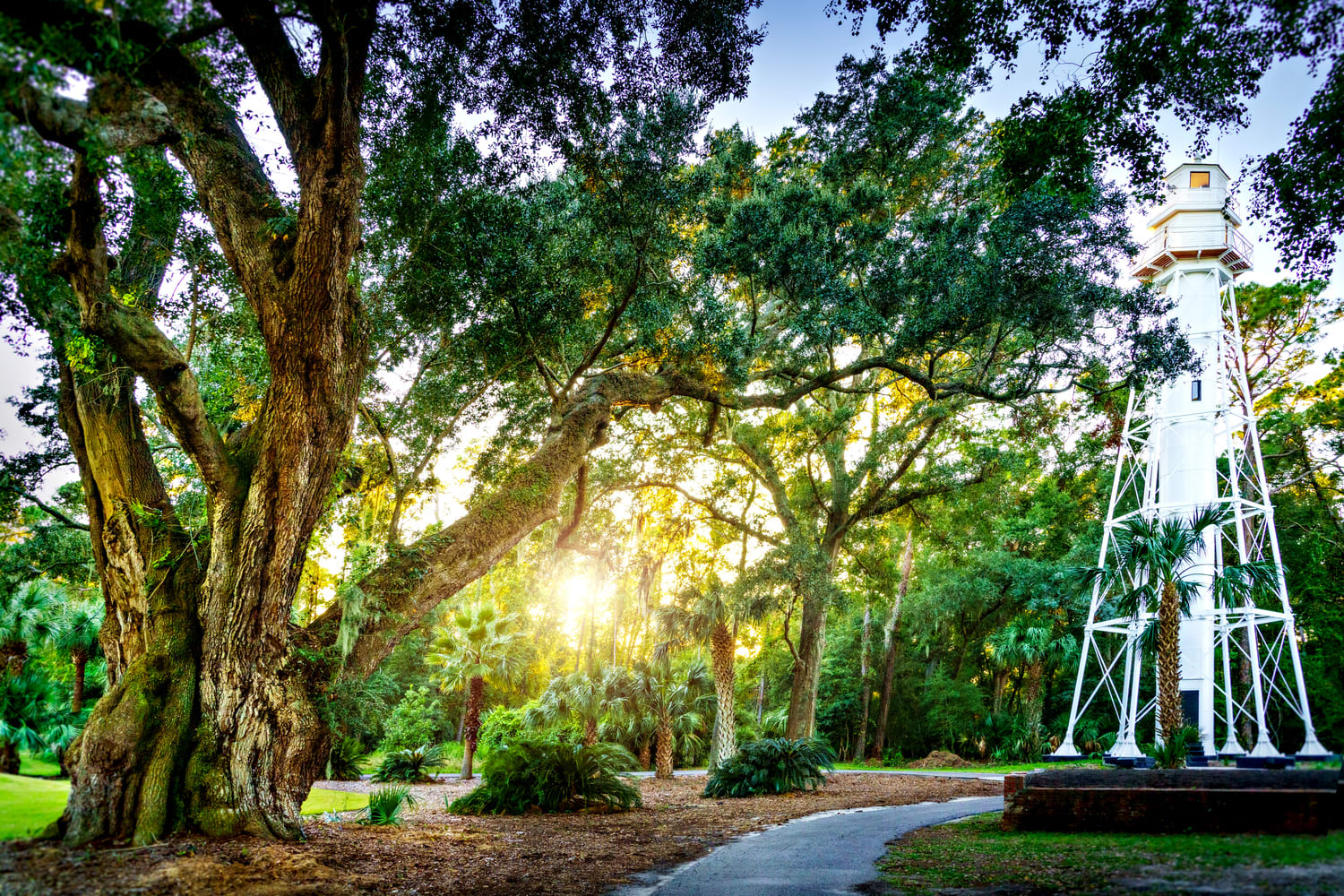 tall white lighthouse between oak trees and sun shining through