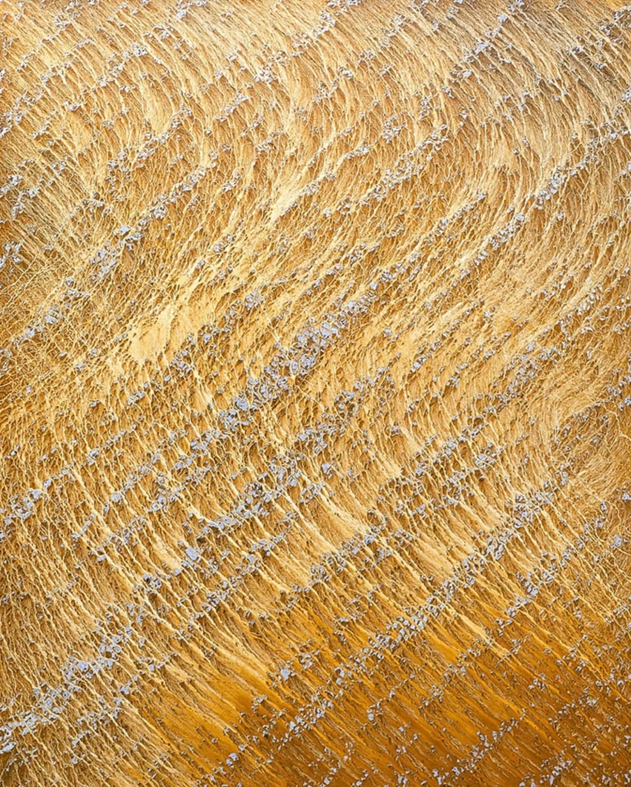 Chae Sung Pil - Rêve de Terre 240822 - Acrylique sur toile - 2025
