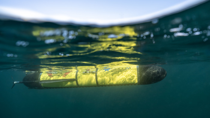 Teledyne Redwing glider being launched into the water during the Sentinel Mission kickoff