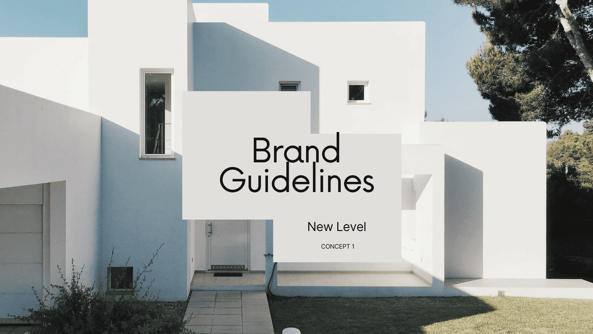 New Level — Brand Guidelines, Concept 1 cover