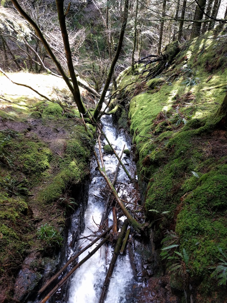 burn near glenashdale falls