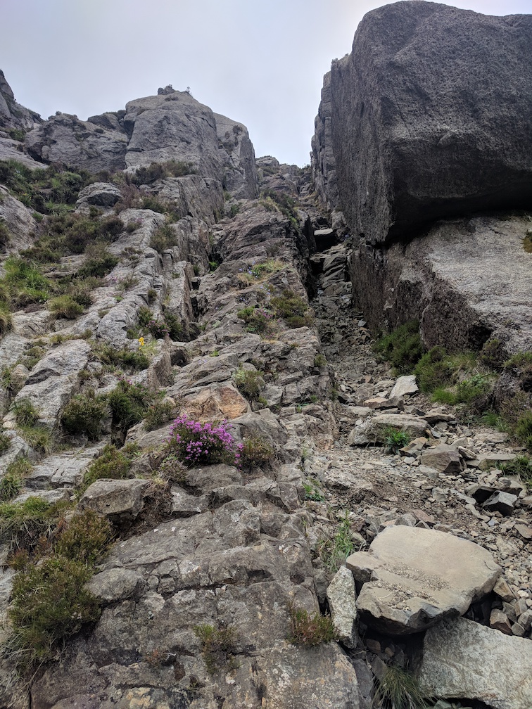 whin dyke at the saddle on arran