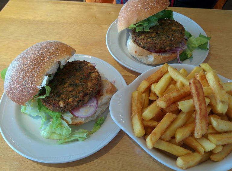 Fidlers vegan burger and mushroom straganoff