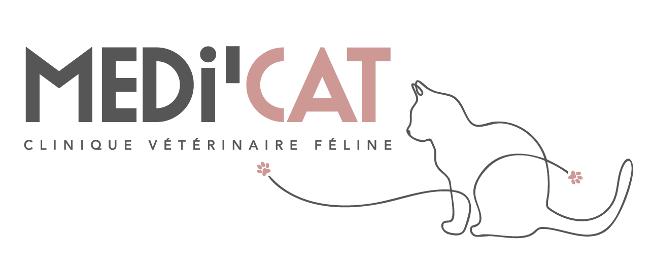 Medi Cat