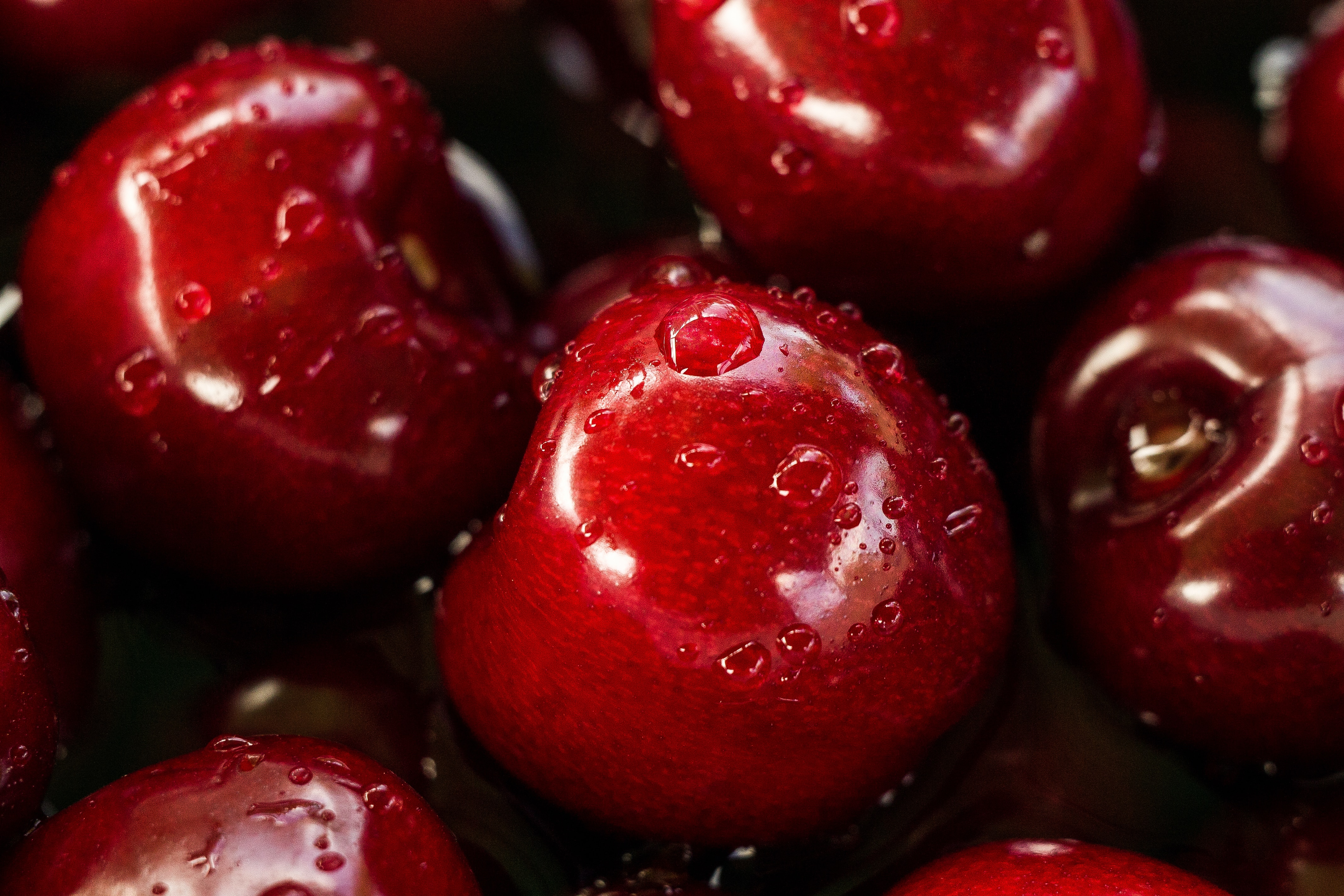 Cherries close-up