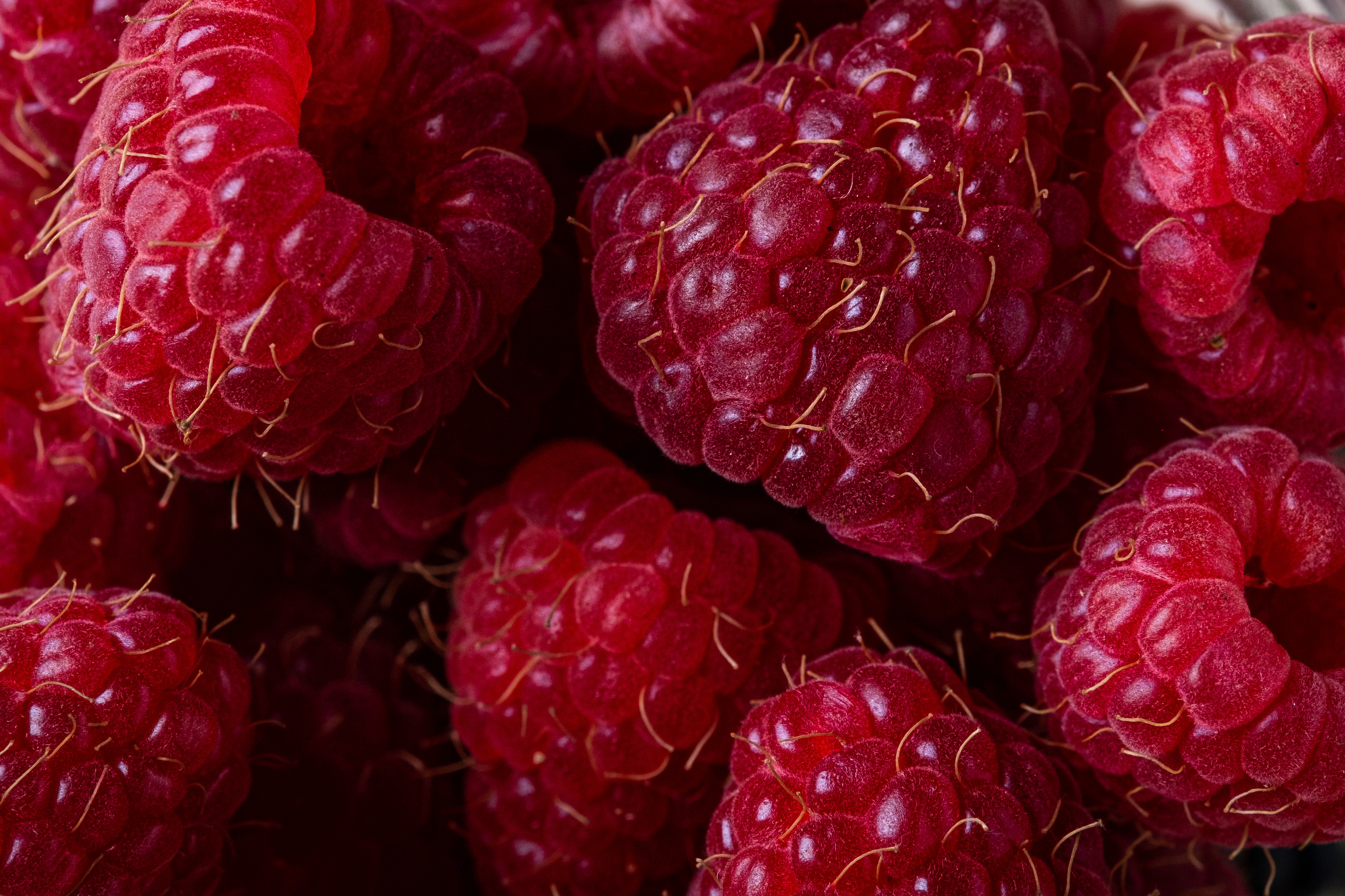 Raspberry close-up